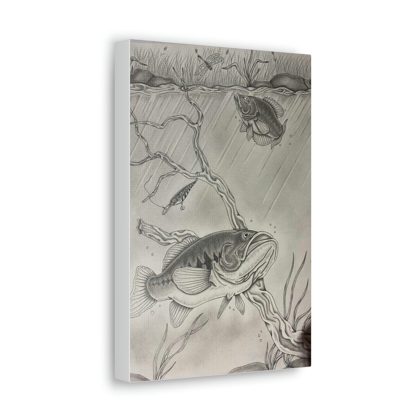 8 x 12" Graphite Bass drawing print on  Canvas