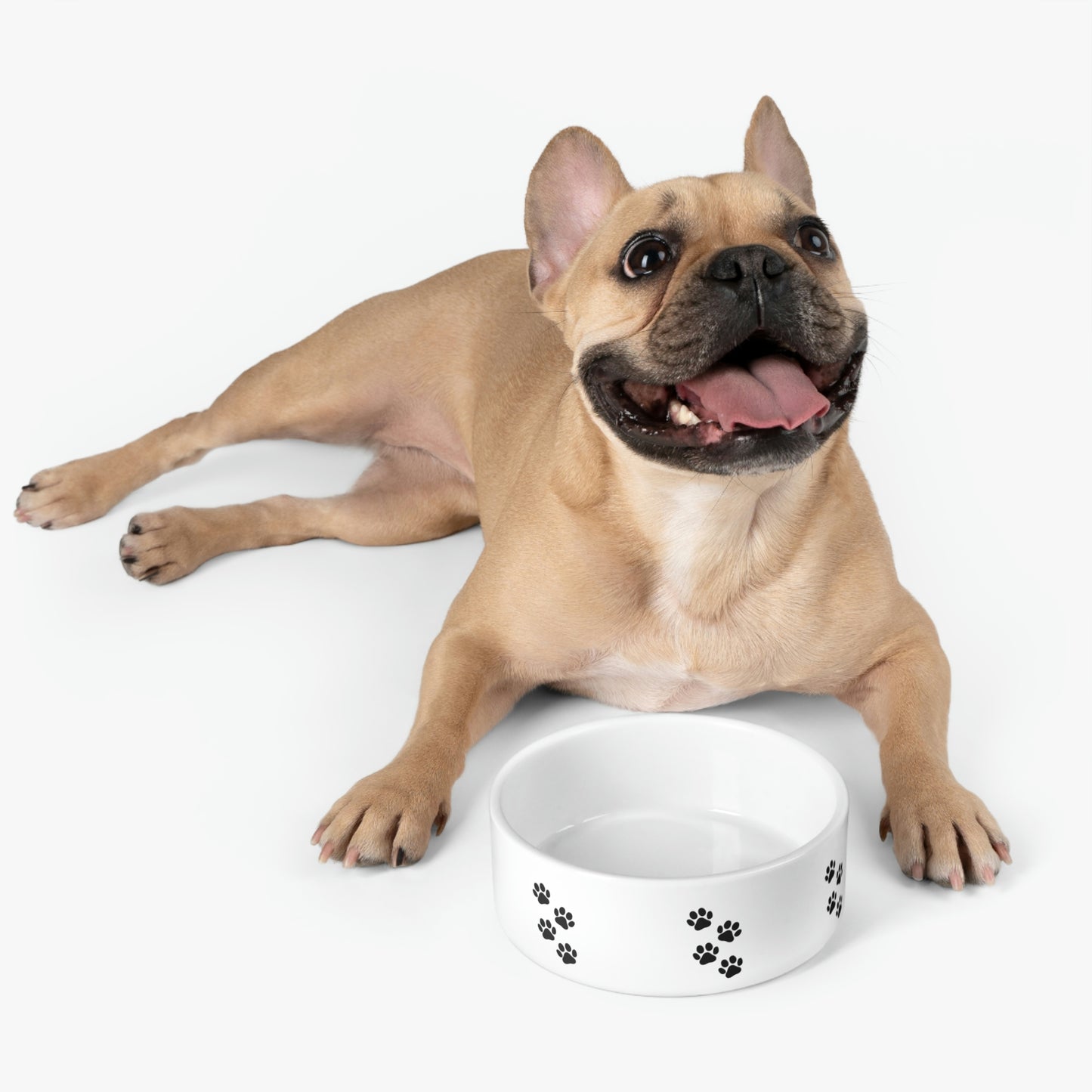 Paw print Pet Bowl