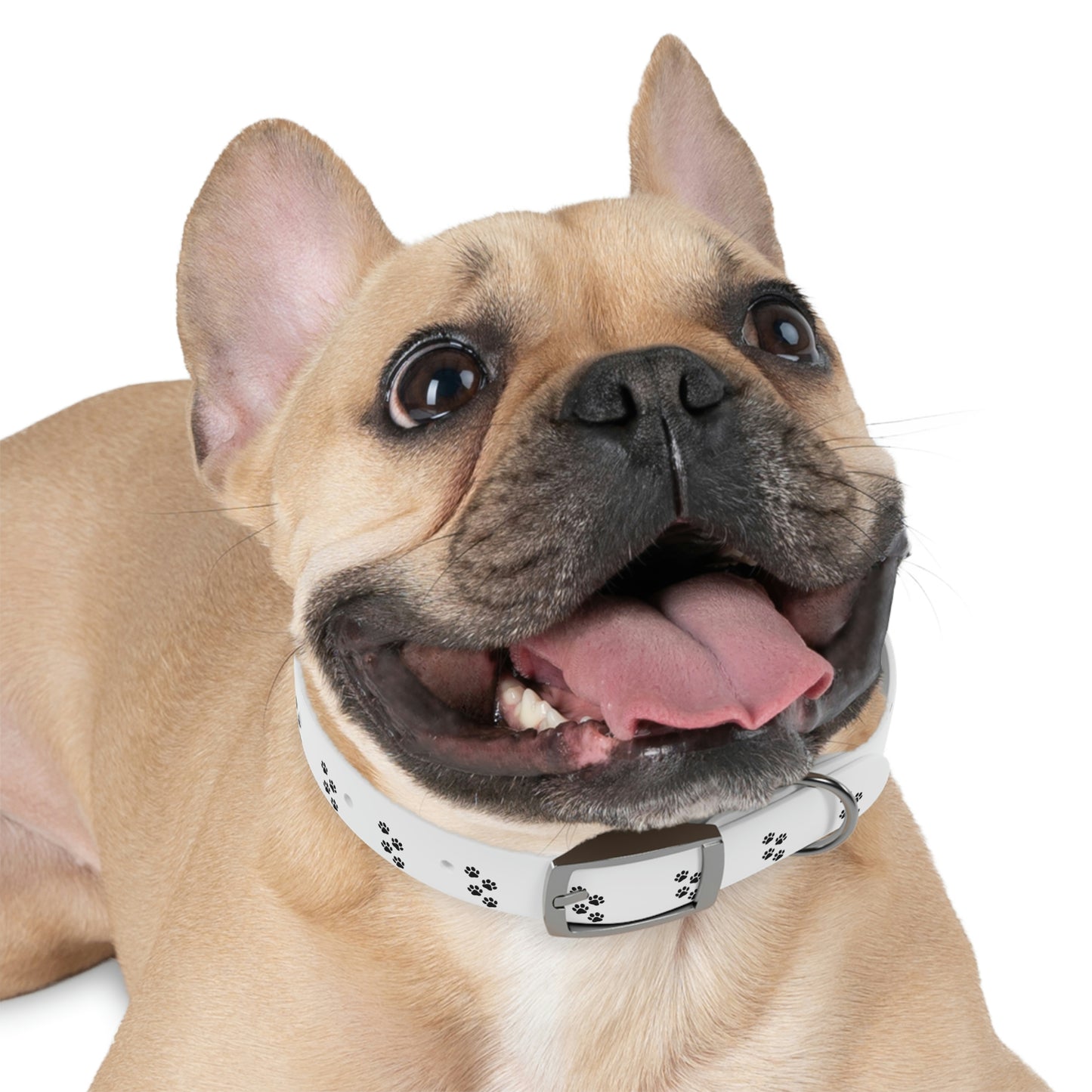 Paw print Dog Collar