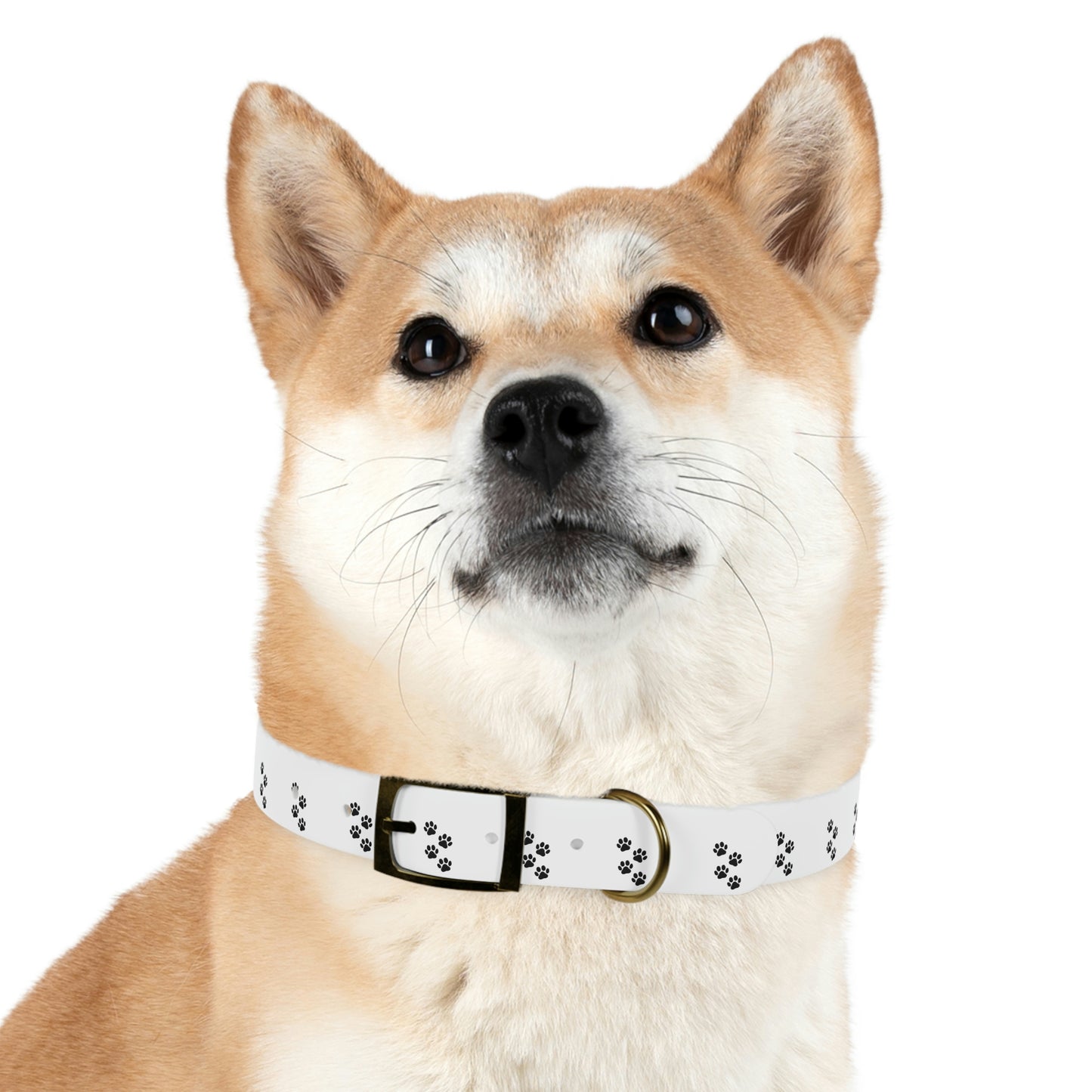 Paw print Dog Collar
