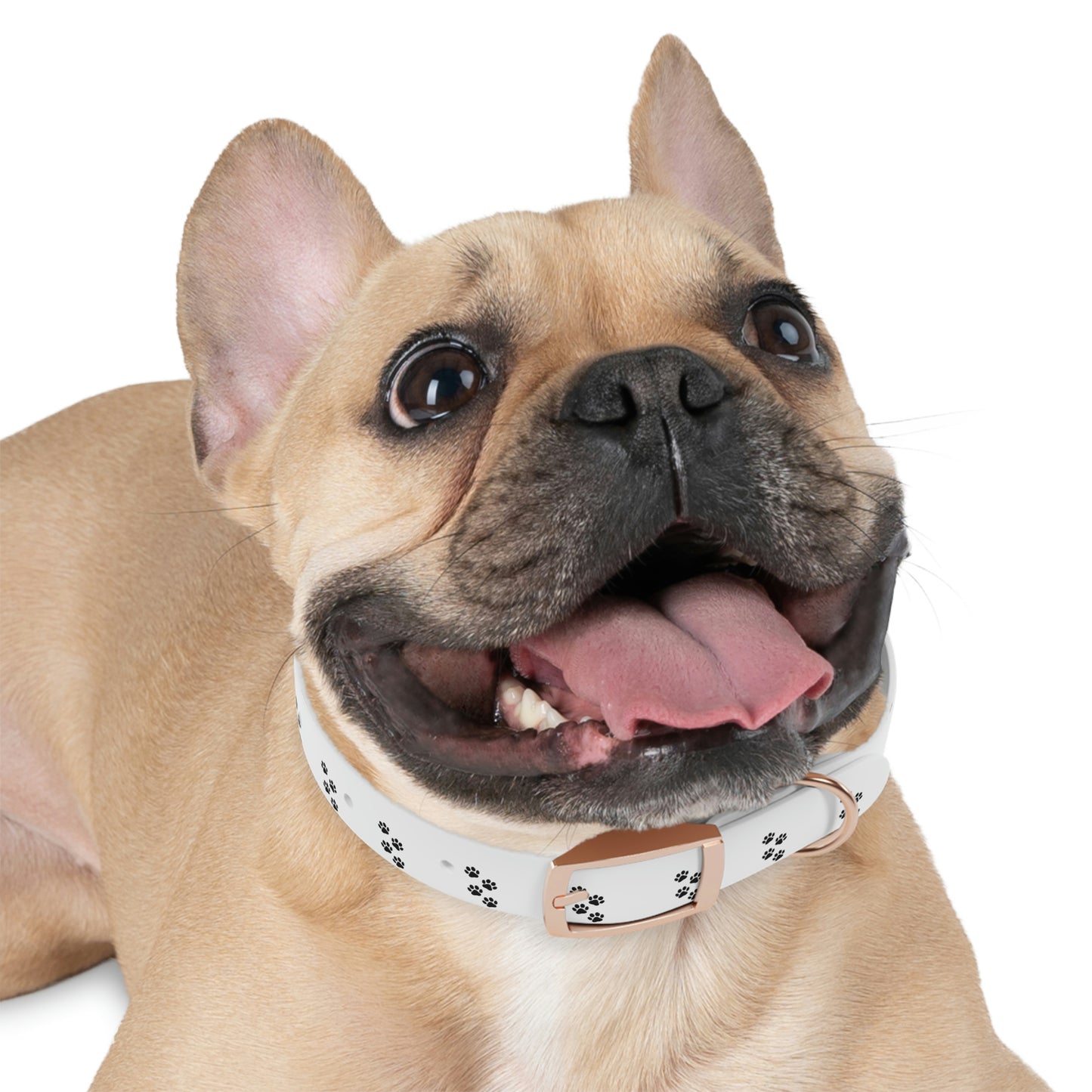 Paw print Dog Collar