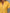 2771f0fe-7879-4df1-aea3-7472f6e1f6e5-Max