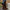 386eeb6ba80b4e1db85bae9ebdbd2d54-Max-Origin