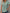4598849f-e994-491d-8e67-d4d59e92b6b3-Max