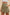 76fd2d65-8512-44b6-be2a-af8e4ac4bdb6-Max
