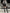 884d1208-ee75-4674-a52f-73a500a7a57e-Max