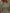 9d48684a-9f2a-42ca-93bc-8e2d1dbed908-Max