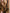 a60332b9-e6bb-45e9-9a4d-93352ff7d8b5-Max