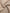 bb2c7dc26c7846dc9a5a04f6bdb7977b-Max-Origin