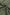Jungle Green Cowl Neck Shift Tunic Top