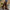 c9df7750f9384082bf202ab5cc686532-Max-Origin