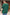 Green Smocked Wrist Shift Top