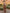 cdc23290c8f94a09a3c53aaebf85c887-Max
