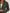 d9bb3c01-4478-4333-b6fe-9e58165fbdaa-Max-Origin