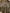 e66c8bc5-2c0a-4a9b-b870-420b5e8c4c3d-Max-Origin