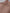 f8c0b2e6-745f-4754-8592-a73f32ce8a34-Max