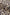ff8bf18c-e772-45cf-9f88-52bf116475e3-Max
