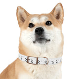 Paw print Dog Collar