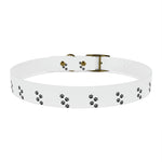 Paw print Dog Collar