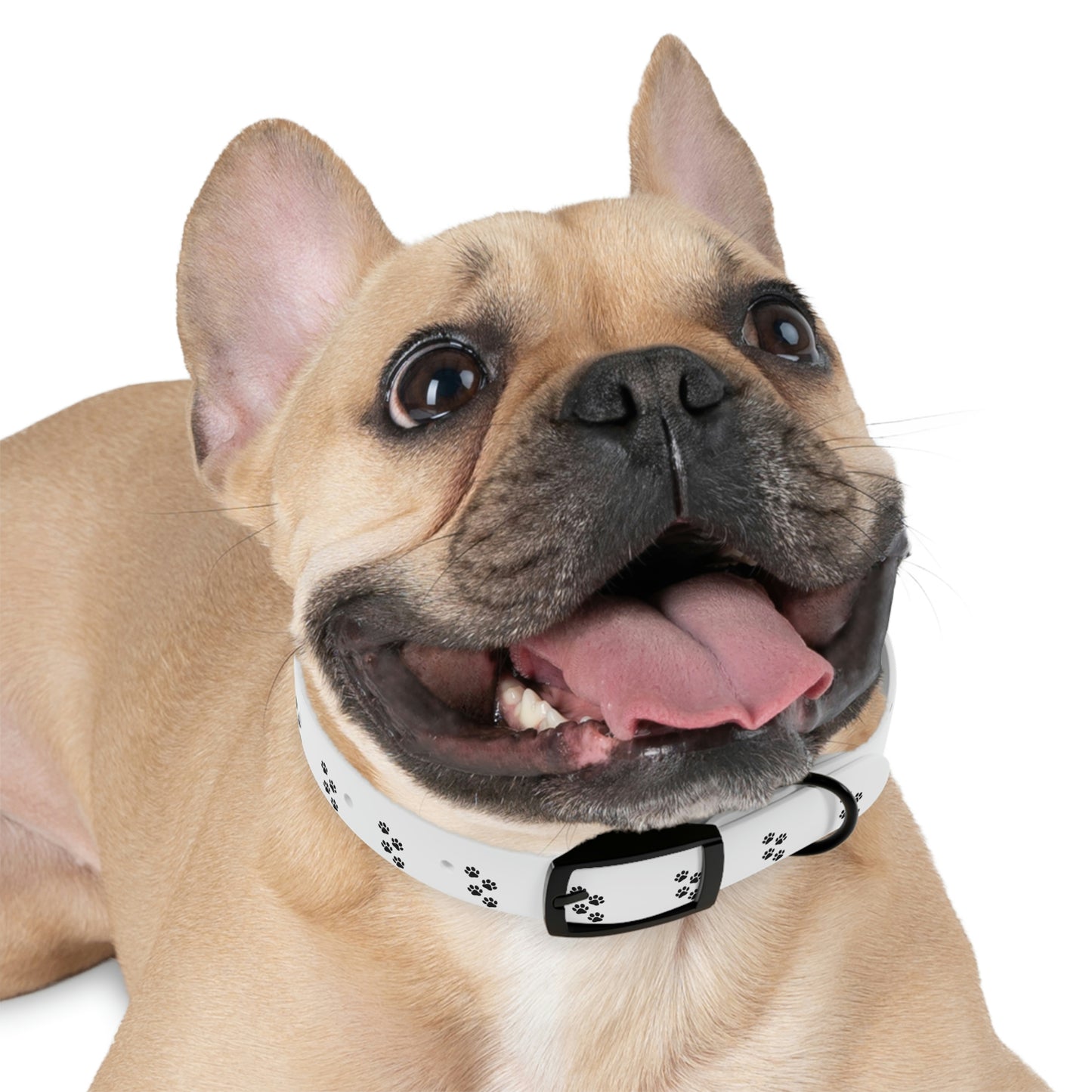Paw print Dog Collar