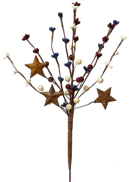 12"L Berry Pip Rust Tin Star Pick
