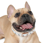 Paw print Dog Collar