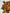 Fall wreath , Thanksgiving wreath , Harvest wreath