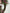 Elegant Christmas wreath,