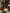 Gnome teardrop Christmas swag