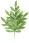 23" Bay leaf spray Lime